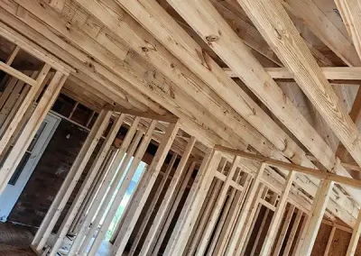 Professional Remodeler