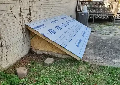Professional Remodeler